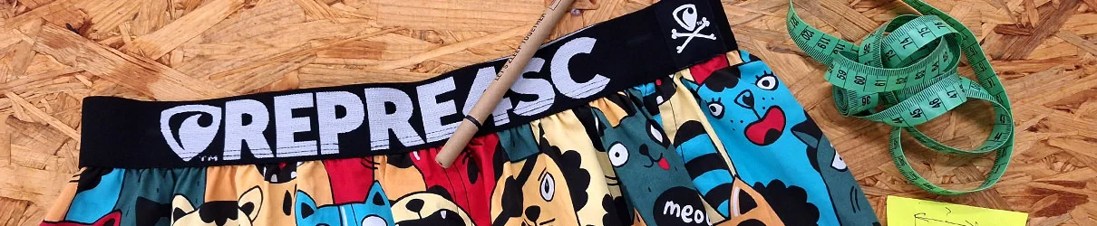 Obrázek kategorie Repre4sc Blog