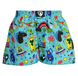 men's boxershorts with woven label EXCLUSIVE ALI - Men's boxer shorts REPRE4SC EXCLUSIVE ALI HEAVEN COLLAPSED - R5M-BOX-0605S - S