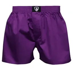Pánské trenky všitá guma EXCLUSIVE ALI - Pánské trenky s všitou gumou REPRE4SC EXCLUSIVE ALI VIOLET - R8M-BOX-0607S - S