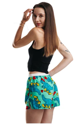 Ladies boxershorts with elastic waistband GIGI - Women's boxer shorts REPRE4SC GIGI SKATIING T-REX - R4W-BOX-0708S - S