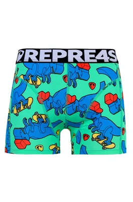 men's boxer briefs - Men's boxer briefs REPRE4SC SPORT SPORT SKATING T-REX - R4M-BOX-0408S - S