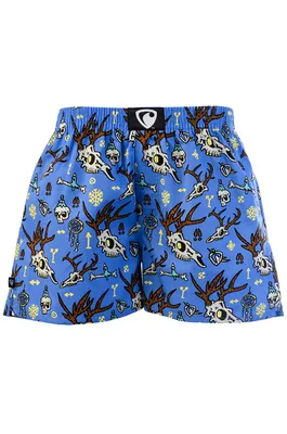 Pánské trenky všitá guma EXCLUSIVE ALI - Pánské trenky s všitou gumou REPRE4SC EXCLUSIVE ALI ICE LAND - R5M-BOX-0607S - S