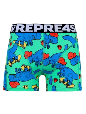 HERREN boxershorts SPORT - Boxershorts für Männer REPRE4SC SPORT SPORT SKATING T-REX - R4M-BOX-0408S - S