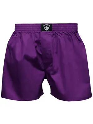 Pánské trenky všitá guma EXCLUSIVE ALI - Pánské trenky s všitou gumou REPRE4SC EXCLUSIVE ALI VIOLET - R8M-BOX-0607S - S